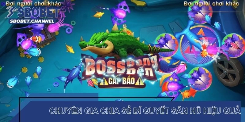 Chuyên gia chia sẻ bí quyết săn hũ hiệu quả