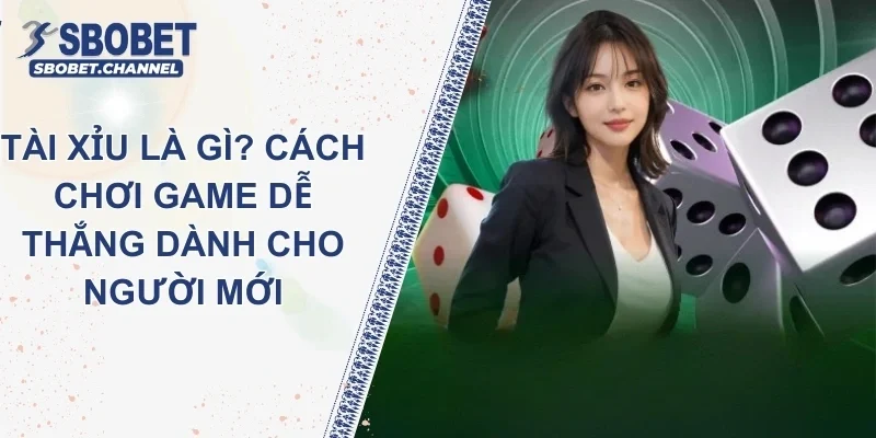 Tài Xỉu Là Gì? Cách Chơi Game Dễ Thắng Dành Cho Người Mới